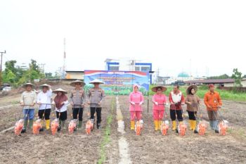 Polda Kaltara Kelola Potensi Lahan Ketahanan Pangan Seluas 808,1 Hektare