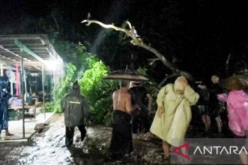 Puluhan rumah di Situbondo terendam banjir luapan air sungai