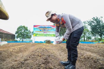 Polres Karawang tanam jagung di lahan sekitar 2,7 hektare