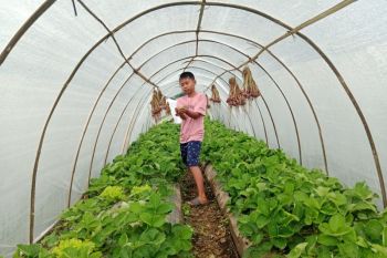 Pemkab Lombok Timur perkuat pengembangan pariwisata berkelanjutan