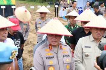 Bupati optimis Tanah Laut jadi sentra jagung di Kalsel