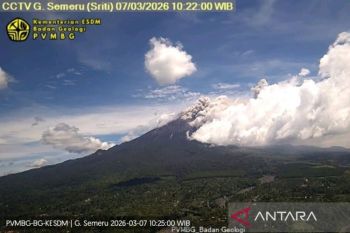 Gunung Semeru erupsi disertai luncuran awan panas guguran
