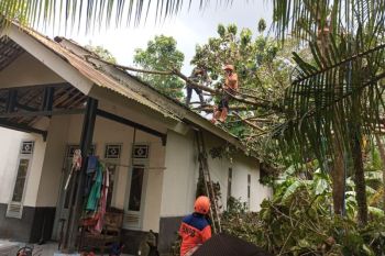 114 rumah rusak dampak cuaca ekstrem di Ciamis Jabar