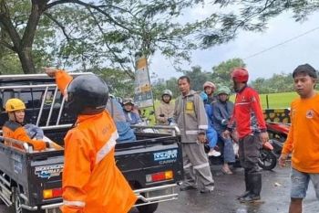 Pohon tumbang timpa 3 pengendara motor di Magetan sebabkan seorang tewas dan dua lainnya luka