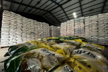 Bulog Surakarta pastikan stok beras dan minyak goreng aman