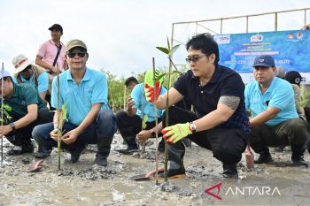 Wagub Bali sebut konservasi mangrove penting untuk topang ekonomi rakyat