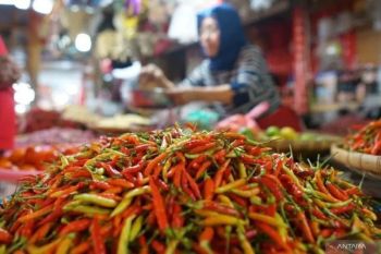 PIHPS: Harga daging ayam Rp41.750/kg, cabai rawit merah Rp85.500/kg