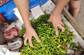 Harga cabai rawit tembus Rp85.100 dan daging ayam Rp40.800