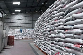 Bulog Kaltimtara jamin stok pangan aman hingga Lebaran 2026