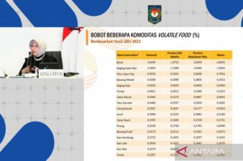 Pengamat: Distribusi pangan lancar kunci kendalikan inflasi Ramadhan