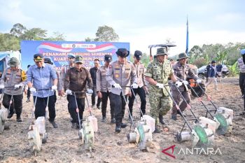 Dukung program swasembada pangan, Polda Jambi tanam jagung kurtal I/2026