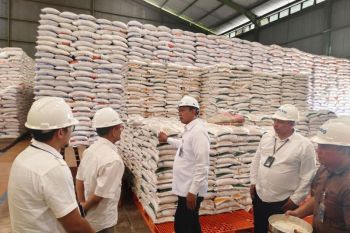 Bulog Aceh pastikan stok beras dan minyak makan aman