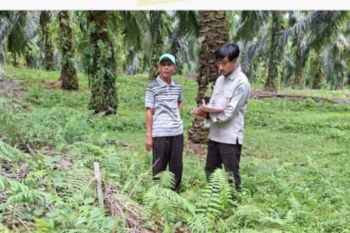 Kantor Pertanahan Pasaman melaksanakan pemeriksaan tanah oleh Panitia A di Nagari Ladang Panjang