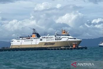 BKSDA: Dua ikan paus terdampar selama 2018