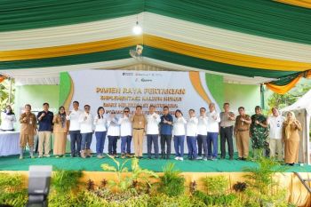 Bukit Asam catatkan laba bersih Rp2,93 triliun pada 2025