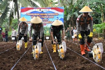 Polda NTT targetkan pengembangan lahan jagung seluas 10.000 hektare