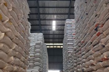 Bulog Maluku pastikan stok beras 13 ribu ton aman hingga lima bulan ke depan