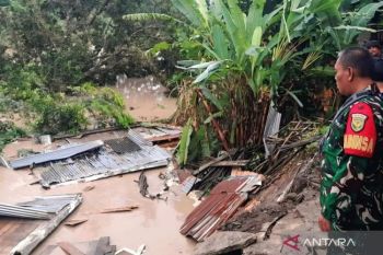 BPBD Sumsel catat 33 kejadian bencana hingga awal Maret 2026