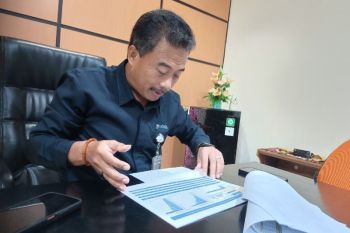 Bulog Papua pastikan beli semua beras hasil panen petani Merauke