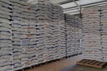 Bulog Jambi pastikan stok beras dan minyak goreng cukup selama 2026