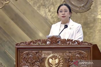 Dampak konflik global, Puan Maharani minta pemerintah kendalikan harga minyak goreng dan BBM