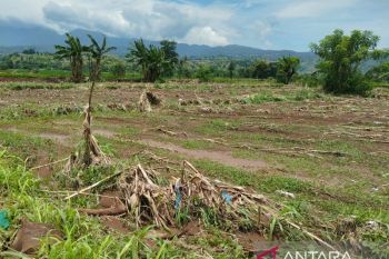 Pemkab Situbondo antisipasi dampak musim kemarau