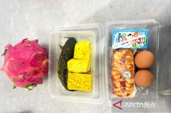 BGN klarifikasi menu MBG lele dan tempe marinasi viral di Pamekasan