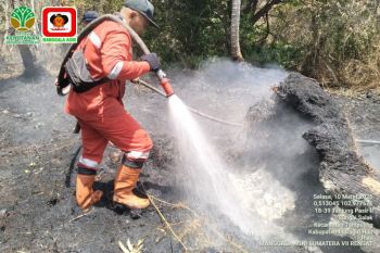 Tim Manggala Agni padamkan karhutla gambut seluas 13,5 hektare di Inderagiri Hilir