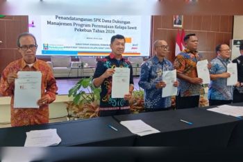 Pemkab Kotim dukung peremajaan berkelanjutan sawit rakyat