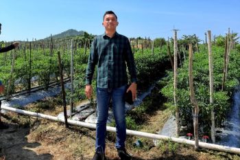 Mengendalikan Inflasi dari Meja Makan