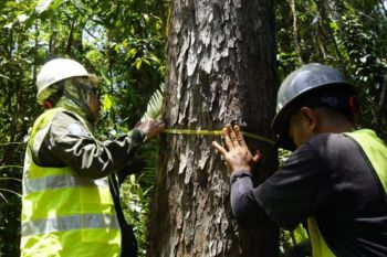 Kolaborasi lintas pihak untuk biodiversitas Wawonii Konkep tetap terjaga