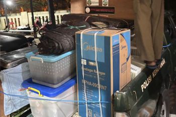 BKSDA Maluku translokasi 24 satwa liar hasil sitaan seksi KSDA di Ternate