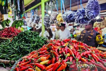 Natuna perluas Program MBG kelompok 3B untuk turunkan stunting