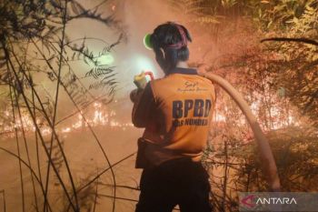 Petugas berupaya padamkan kebakaran lahan di Aceh dan Kalimantan Utara