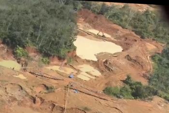 PTPN I Regional 7 apresiasi penindakan tambang emas ilegal oleh Polda Lampung