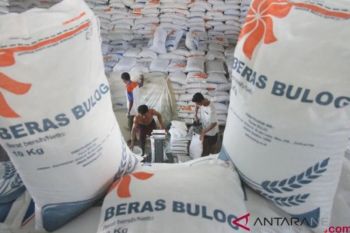 Bapanas proyeksikan ketersediaan beras nasional tembus 47 juta ton