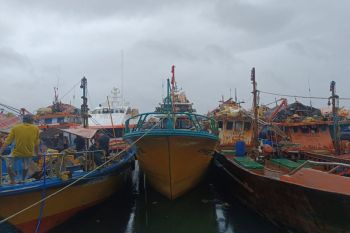BMKG ingatkan potensi tinggi gelombang empat meter perairan Talaud