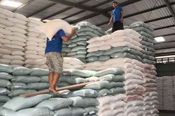 Bulog Singkawang pastikan stok beras 3.400 ton aman hingga Idul Fitri