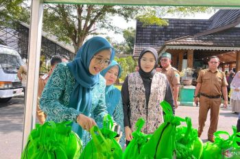 Pemkab Batang Hari gelar bazar UMKM