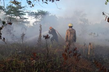 Harga emas di Pegadaian hari ini meroket