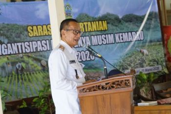 Pemkab: Stok pupuk bersubsidi di Gunungkidul mencapai 36.539 ton