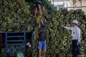 ASDP Padang prediksi dua rute lintasan alami lonjakan saat Lebaran