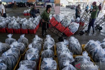 Perang Teluk dan alarm bagi ketahanan perikanan Indonesia