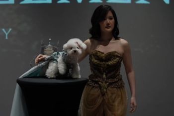 Savyavasa gelar Eternal Element, rayakan gaya hidup bersama anabul