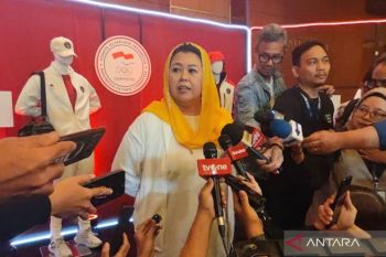 Indonesia's climbing body pledges protection in abuse probe