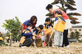 Potret penanaman pohon nasional di China