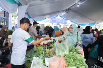 Kader Posyandu Pontianak terbantu pasar purah PKK Pontianak