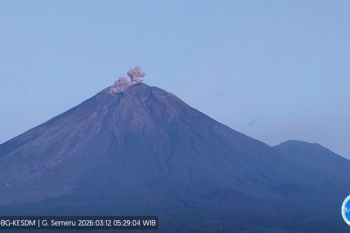 Gunung Semeru alami erupsi dengan tinggi letusan capai 600 meter di atas puncak