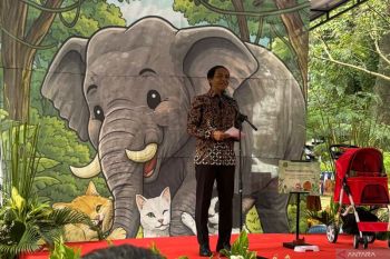 Menhut kejar pemulihan Taman Nasional Tesso Nilo dan habitat gajah lain