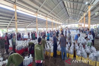 TPI Pekalongan lelang 170 ribu ton ikan selama Februari 2026